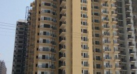 Golf Avenu(Sec 75)