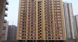 Golf Avenu(Sec 75)