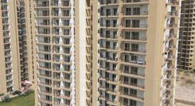 Golf Avenu(Sec 75)