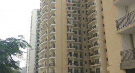 Golf Avenu(Sec 75)