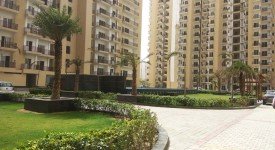 Golf Avenu(Sec 75)