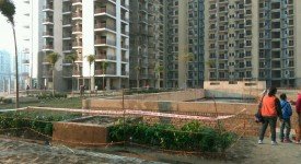 Golf Avenu(Sec 75)