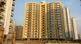 Golf Avenu(Sec 75)