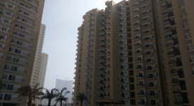 Golf Avenu(Sec 75)