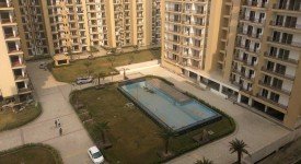 Golf Avenu(Sec 75)