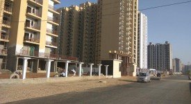 Golf Avenu(Sec 75)