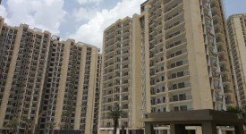 Golf Avenu(Sec 75)