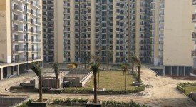 Golf Avenu(Sec 75)