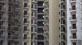 Golf Avenu(Sec 75)