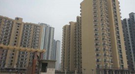 Golf Avenu(Sec 75)