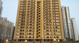 Golf Avenu(Sec 75)