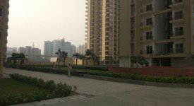 Golf Avenu(Sec 75)