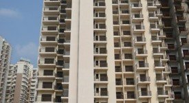 Golf Avenu(Sec 75)