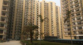 Golf Avenu(Sec 75)
