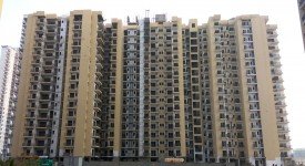 Golf Avenu(Sec 75)