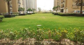 Golf Avenu(Sec 75)