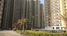Golf Avenu(Sec 75)