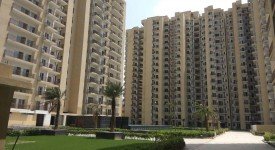 Golf Avenu(Sec 75)