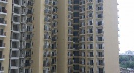 Golf Avenu(Sec 75)
