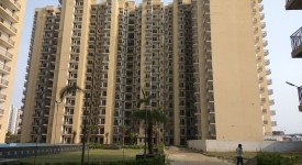 Golf Avenu(Sec 75)