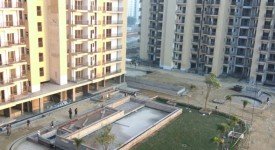 Golf Avenu(Sec 75)