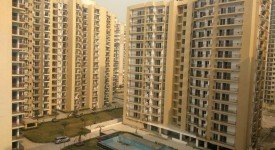 Golf Avenu(Sec 75)