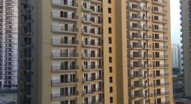 Golf Avenu(Sec 75)