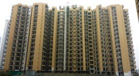 Golf Avenu(Sec 75)