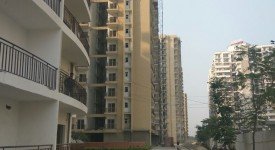 Golf Avenu(Sec 75)