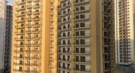 Golf Avenu(Sec 75)