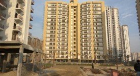 Golf Avenu(Sec 75)
