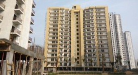 Golf Avenu(Sec 75)