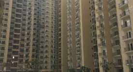Golf Avenu(Sec 75)
