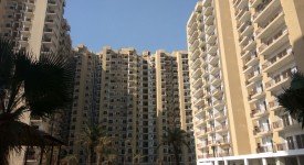 Golf Avenu(Sec 75)