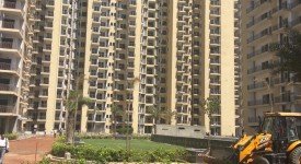 Golf Avenu(Sec 75)