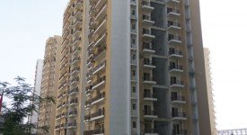 Golf Avenu(Sec 75)