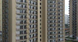 Golf Avenu(Sec 75)