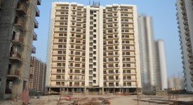 Golf Avenu(Sec 75)