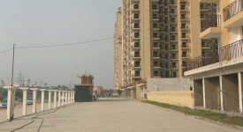 Golf Avenu(Sec 75)