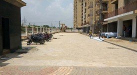 Golf Avenu(Sec 75)
