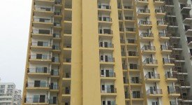 Golf Avenu(Sec 75)