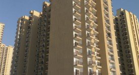 Golf Avenu(Sec 75)