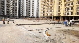Golf Avenu(Sec 75)