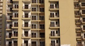 Golf Avenu(Sec 75)