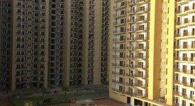Golf Avenu(Sec 75)