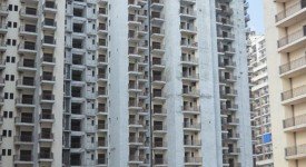 Golf Avenu(Sec 75)