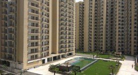 Golf Avenu(Sec 75)