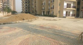 Golf Avenu(Sec 75)