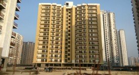 Golf Avenu(Sec 75)
