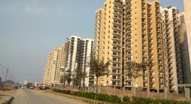 Golf Avenu(Sec 75)